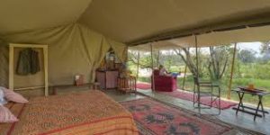 Ol Pejeta Bush Camp